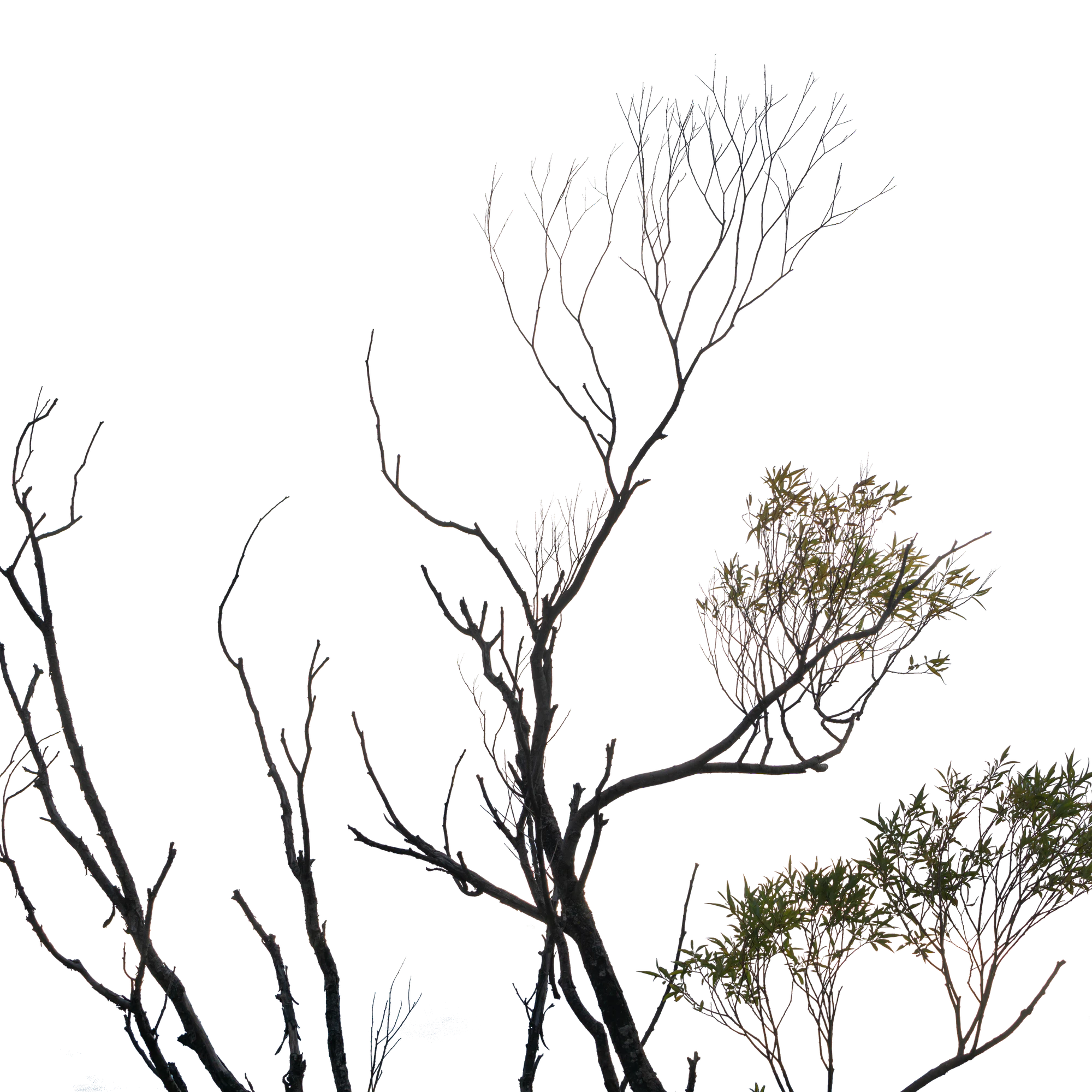 047 — Скачать