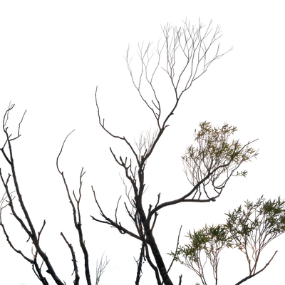 047 — скачать