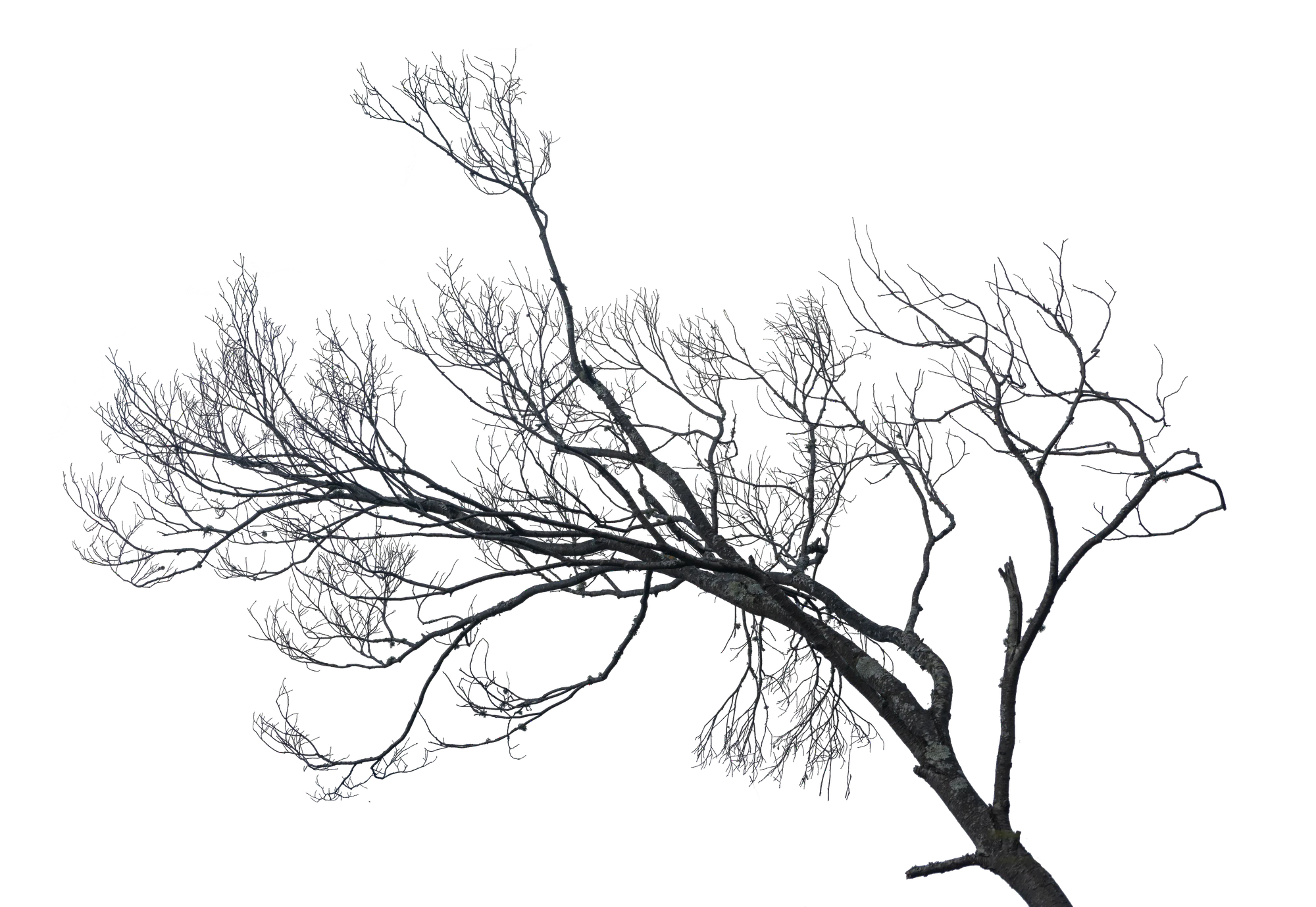 048 — Скачать