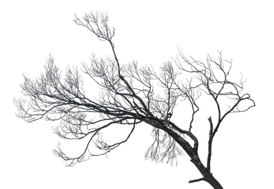 048 — скачать