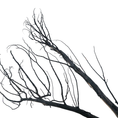 049 — скачать