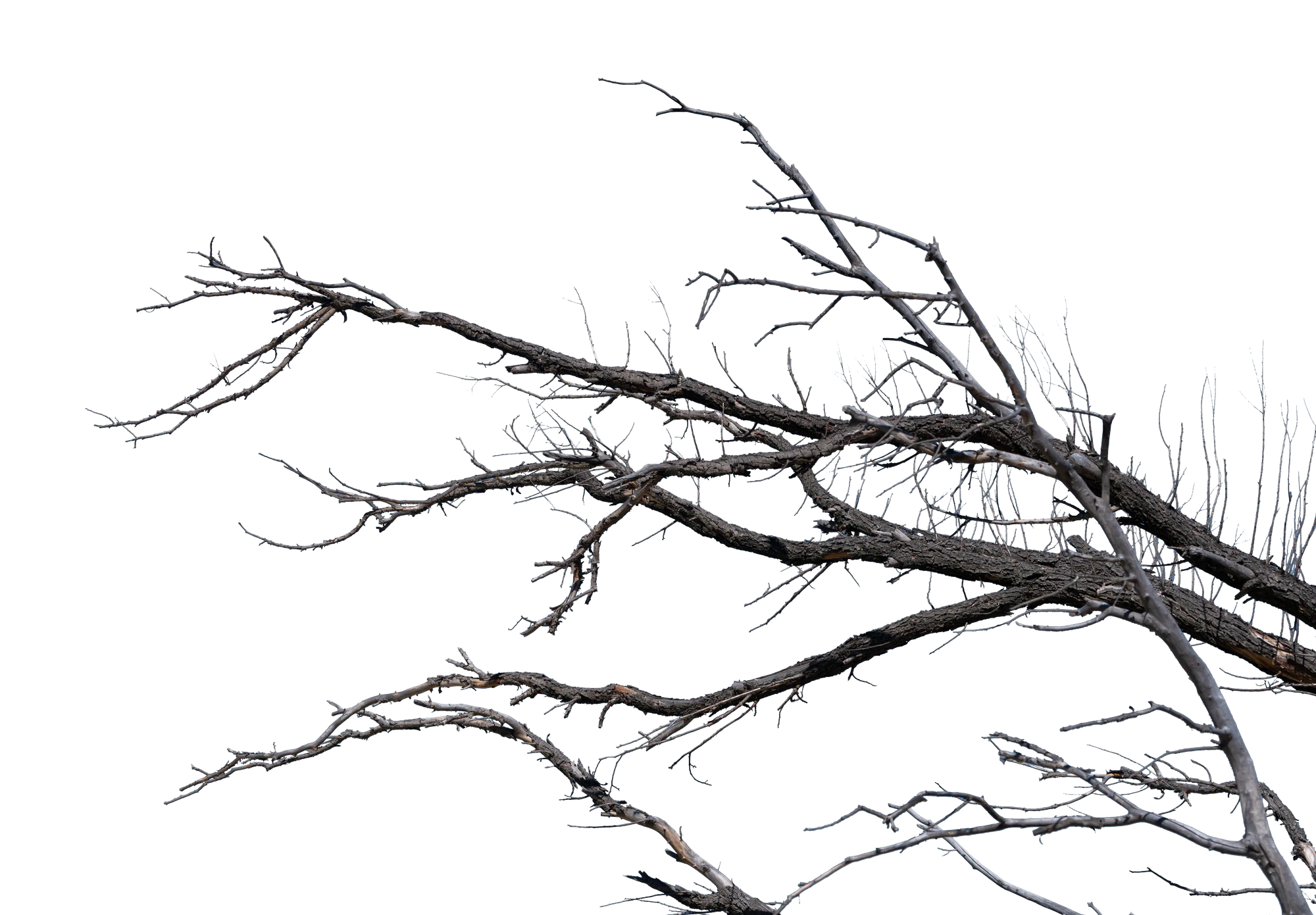 050 — Скачать