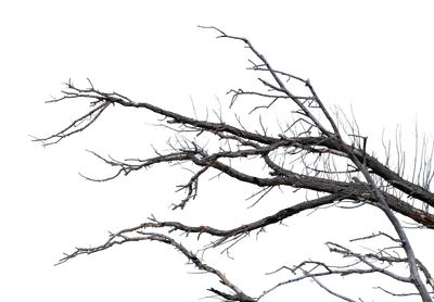 050 — скачать