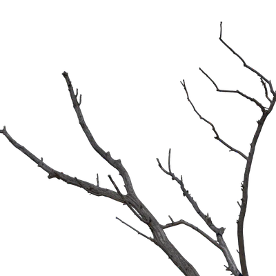 051 — скачать