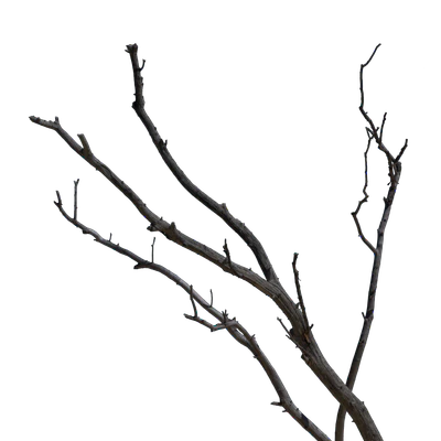 052 — скачать