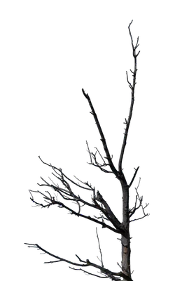 053 — скачать