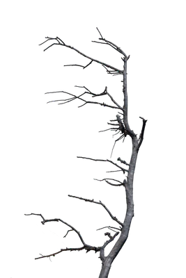 054 — скачать