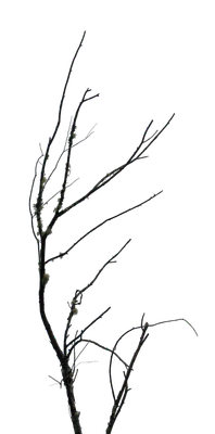 055 — скачать