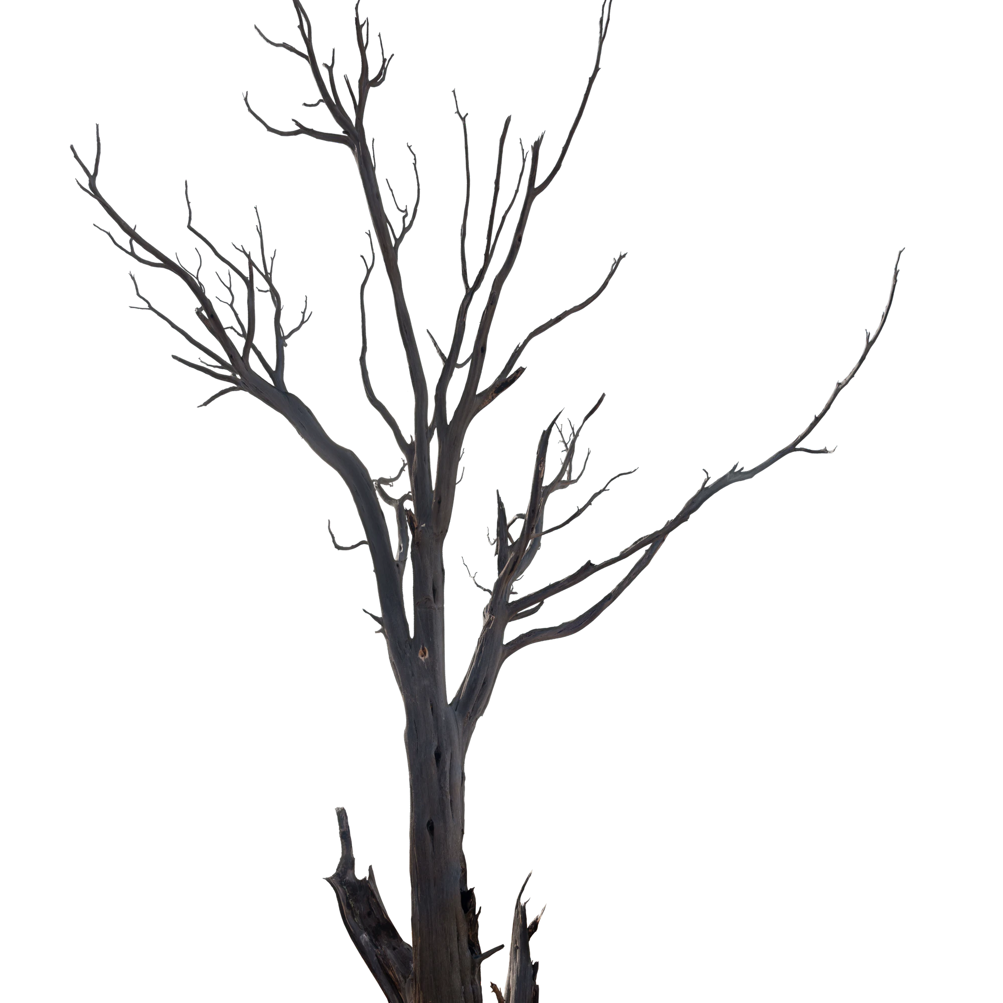 056 — Скачать