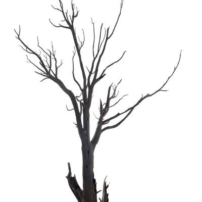 056 — скачать