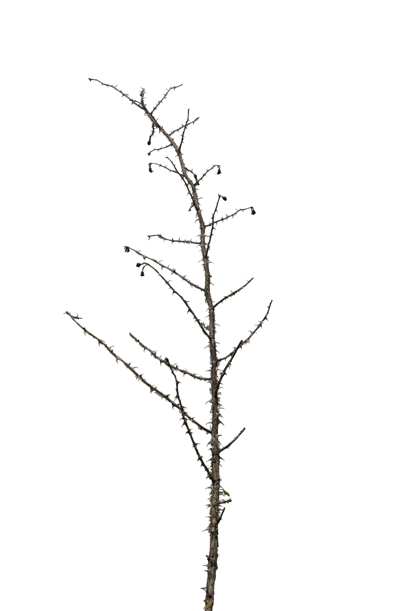 057 — Скачать