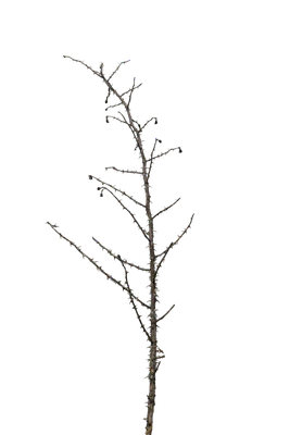 057 — скачать