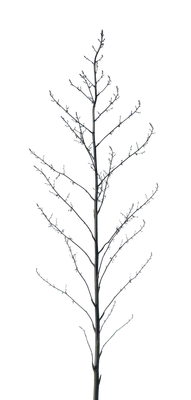 058 — скачать