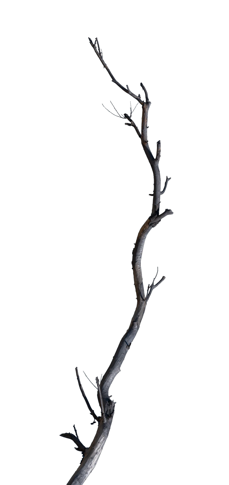 059 — Скачать