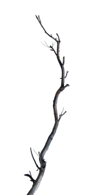 059 — скачать