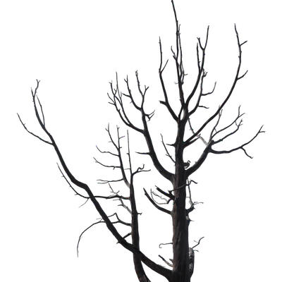 060 — скачать