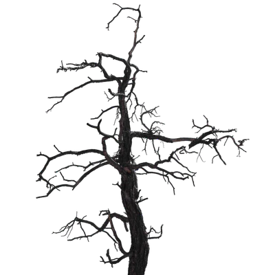 061 — скачать