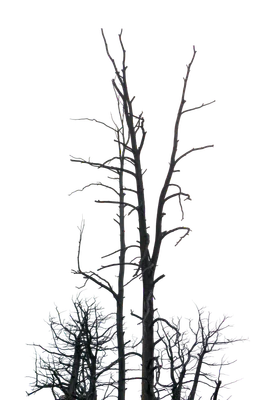 062 — скачать