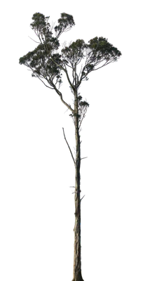 035 — Descargar