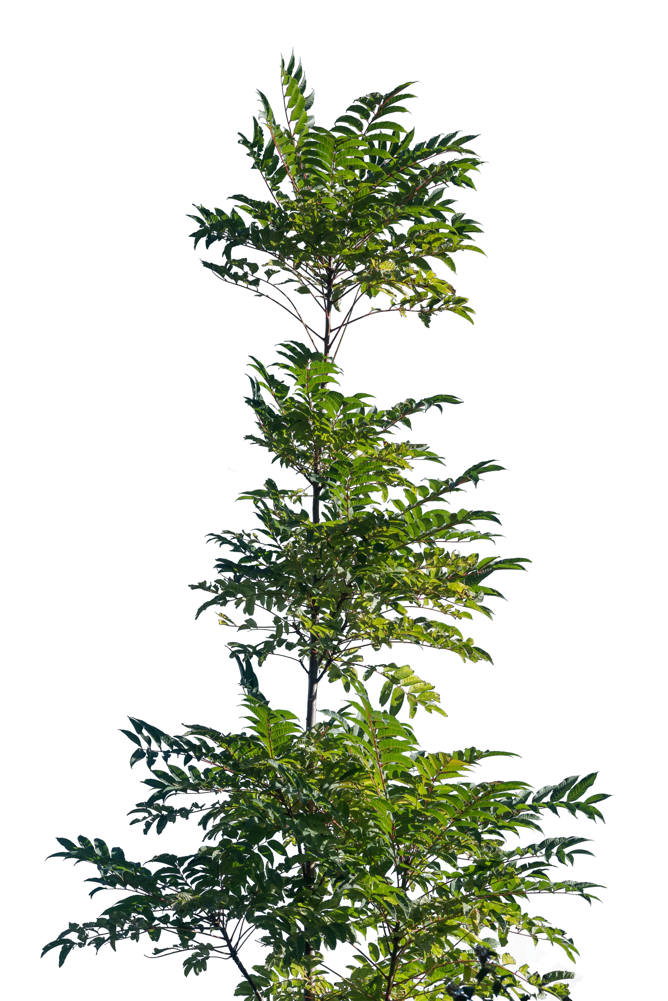 048 — Скачать