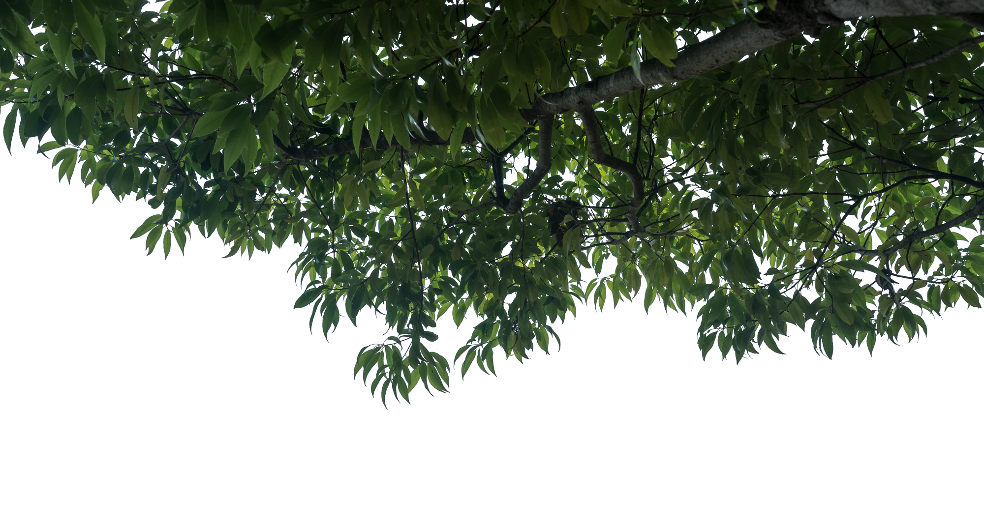 050 — Скачать