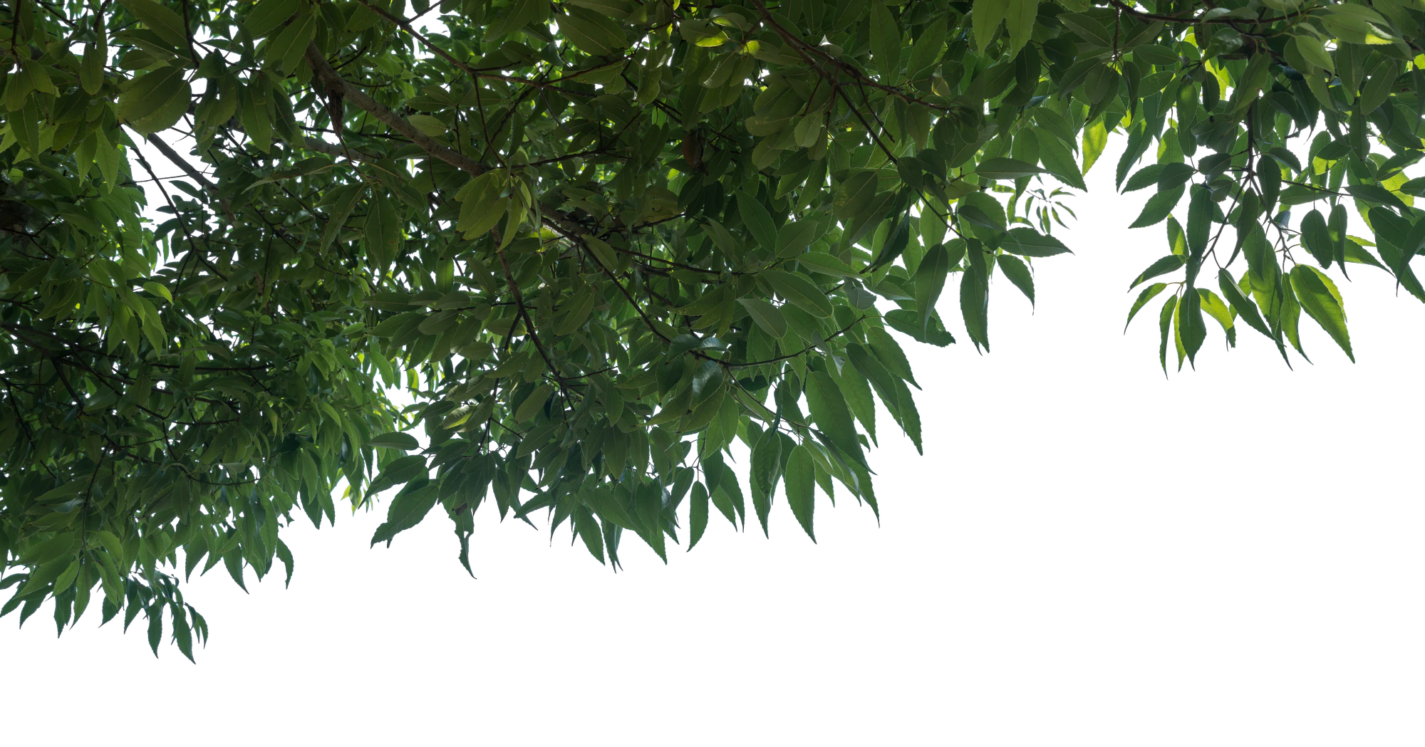 051 — Скачать