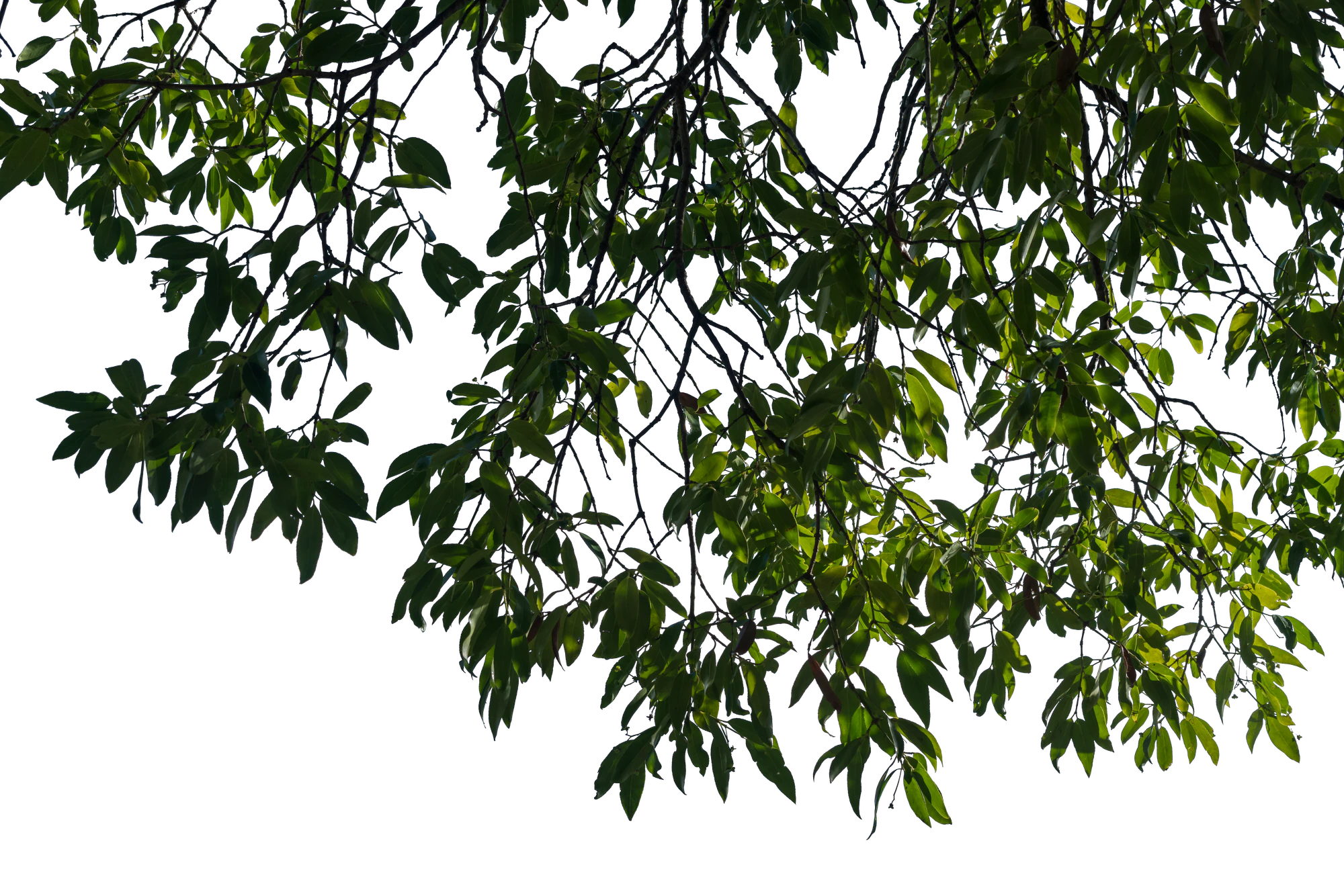 055 — Скачать