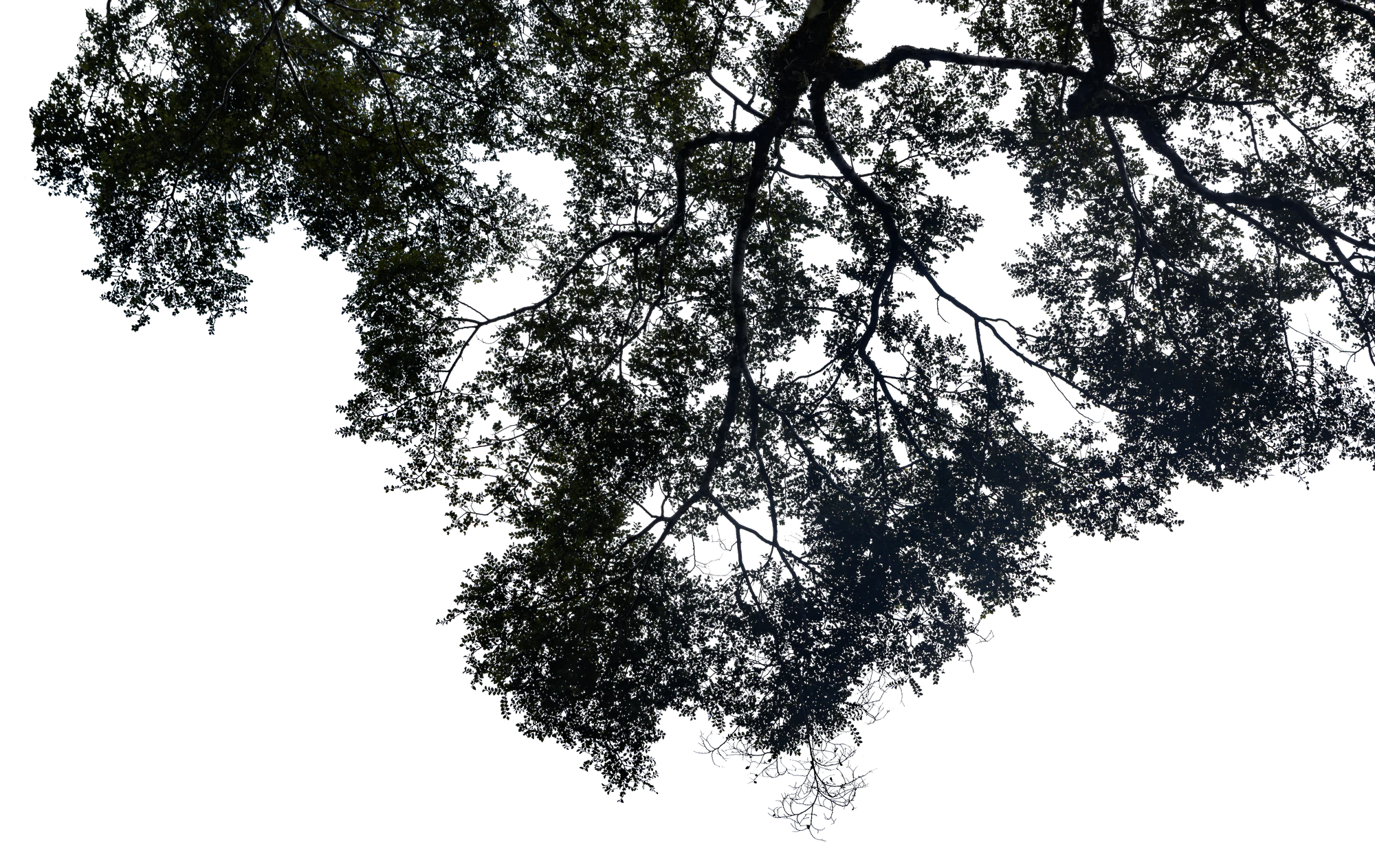 060 — Скачать