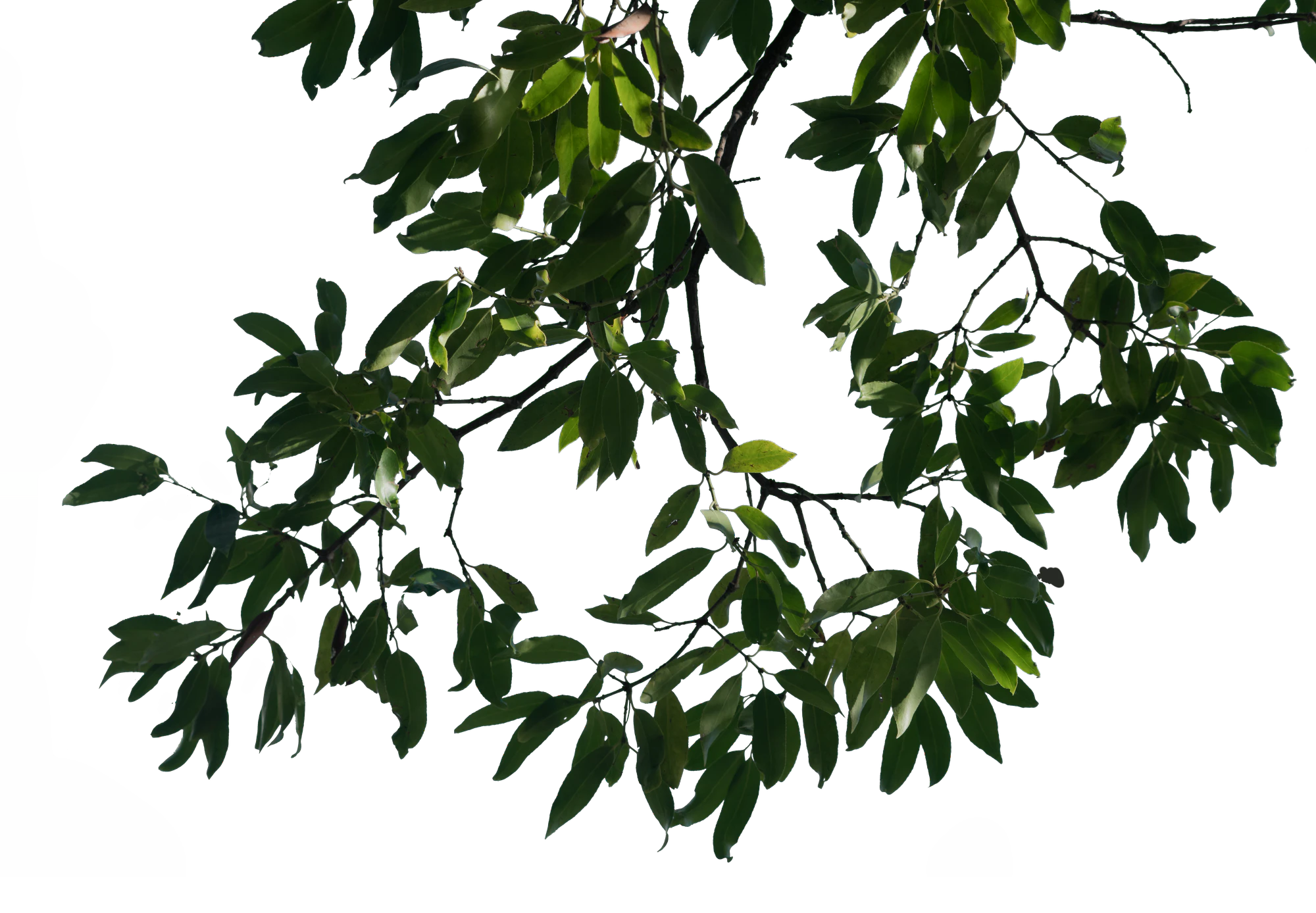 061 — Скачать