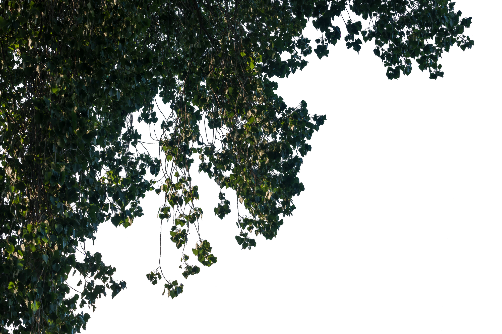 064 — Скачать