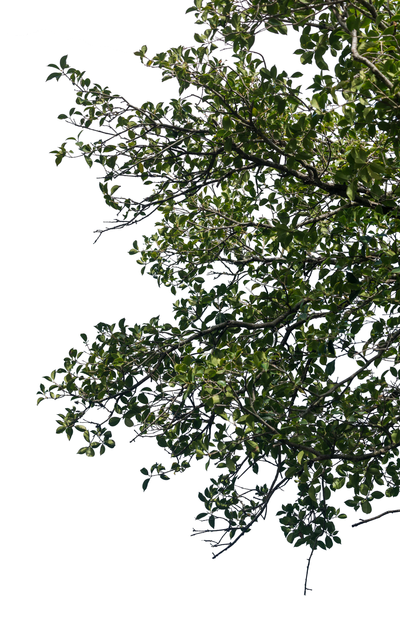 066 — Скачать