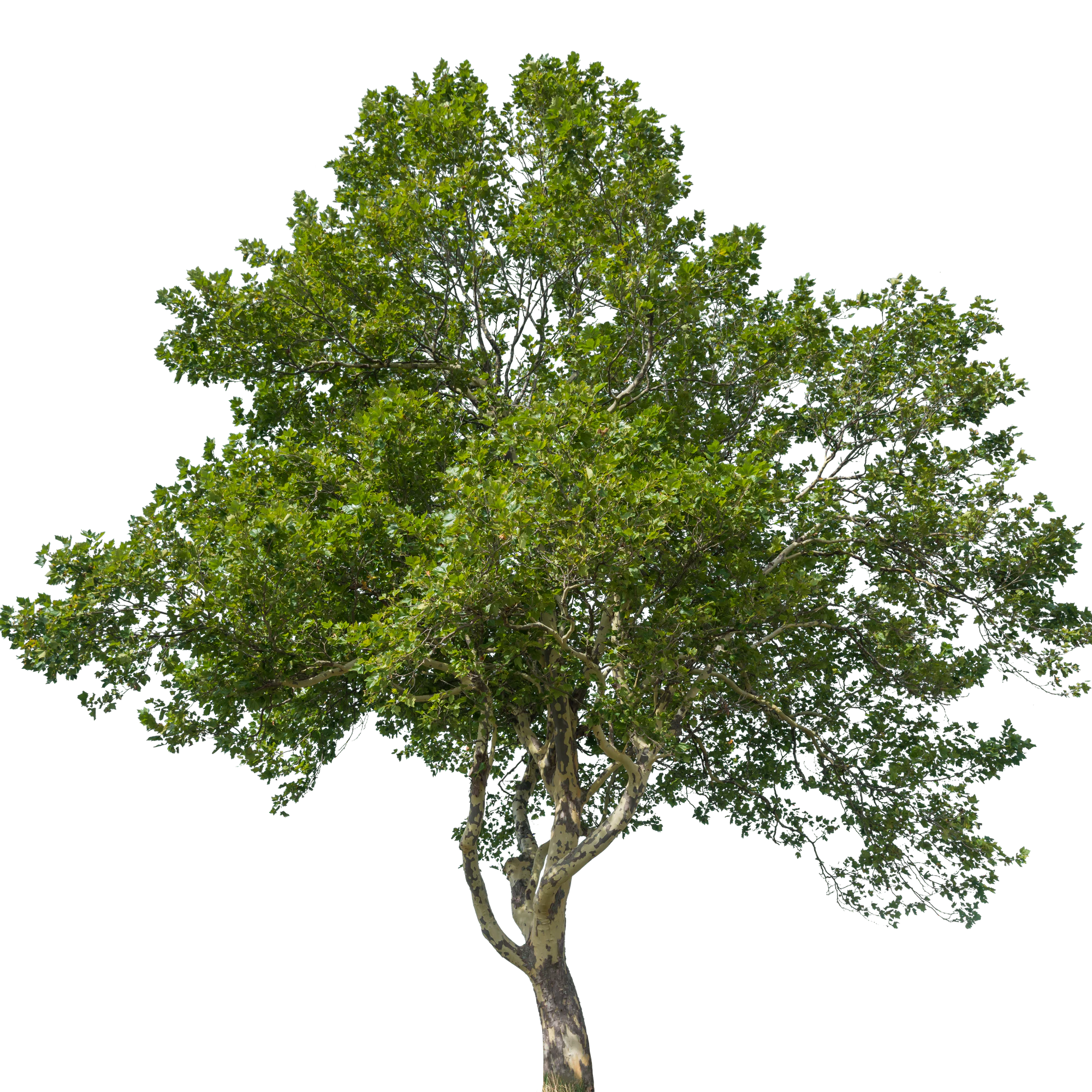 067 — Скачать