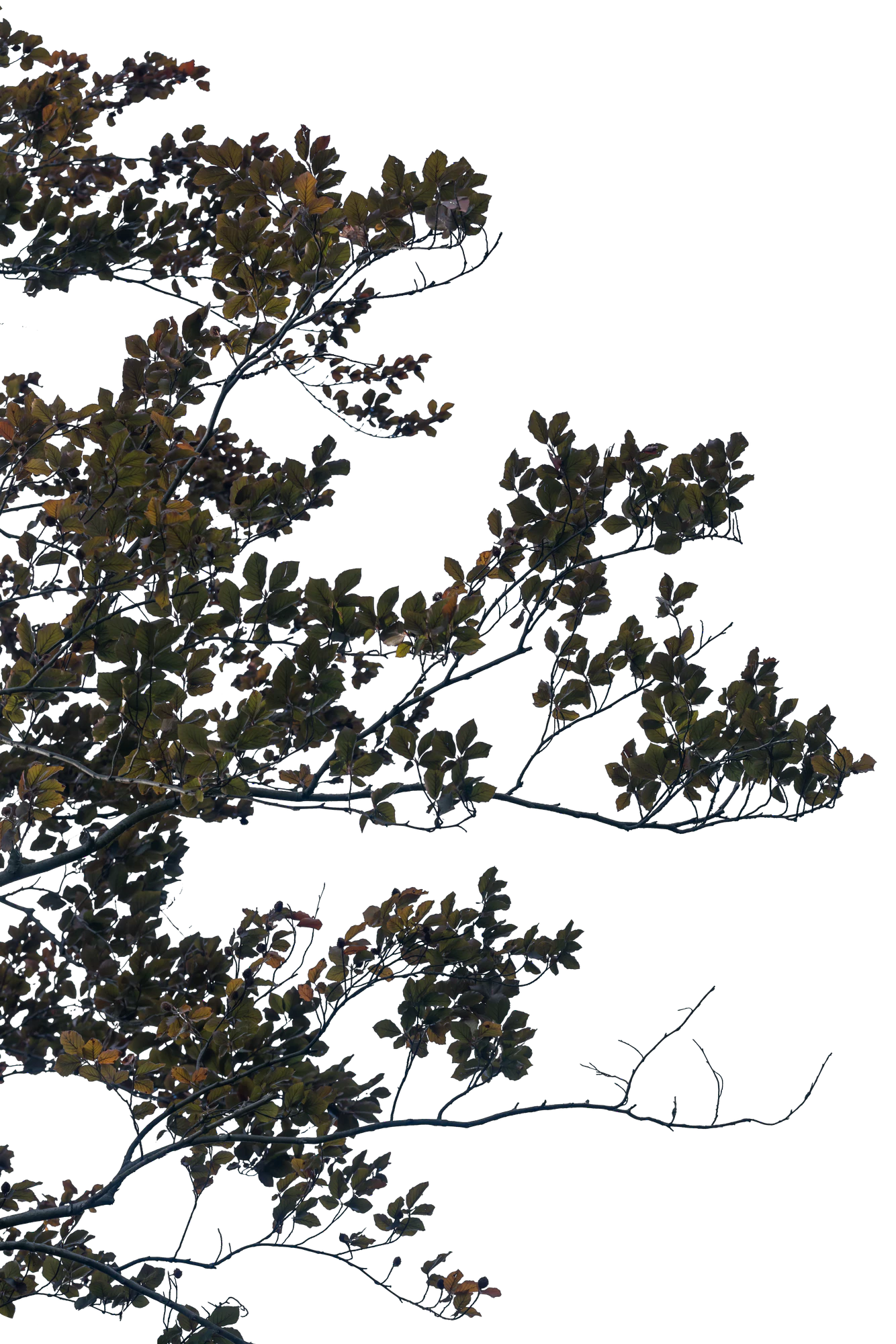 071 — Скачать