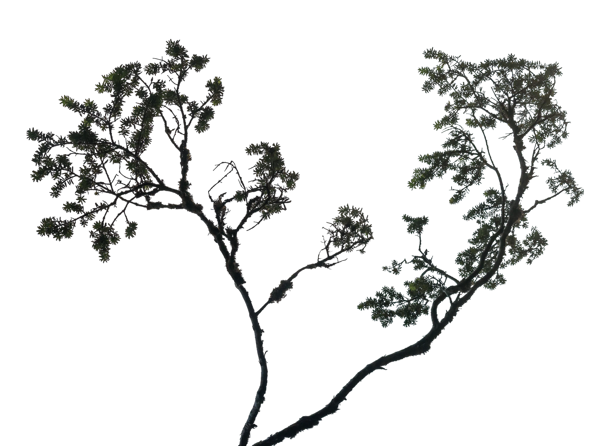 074 — Скачать