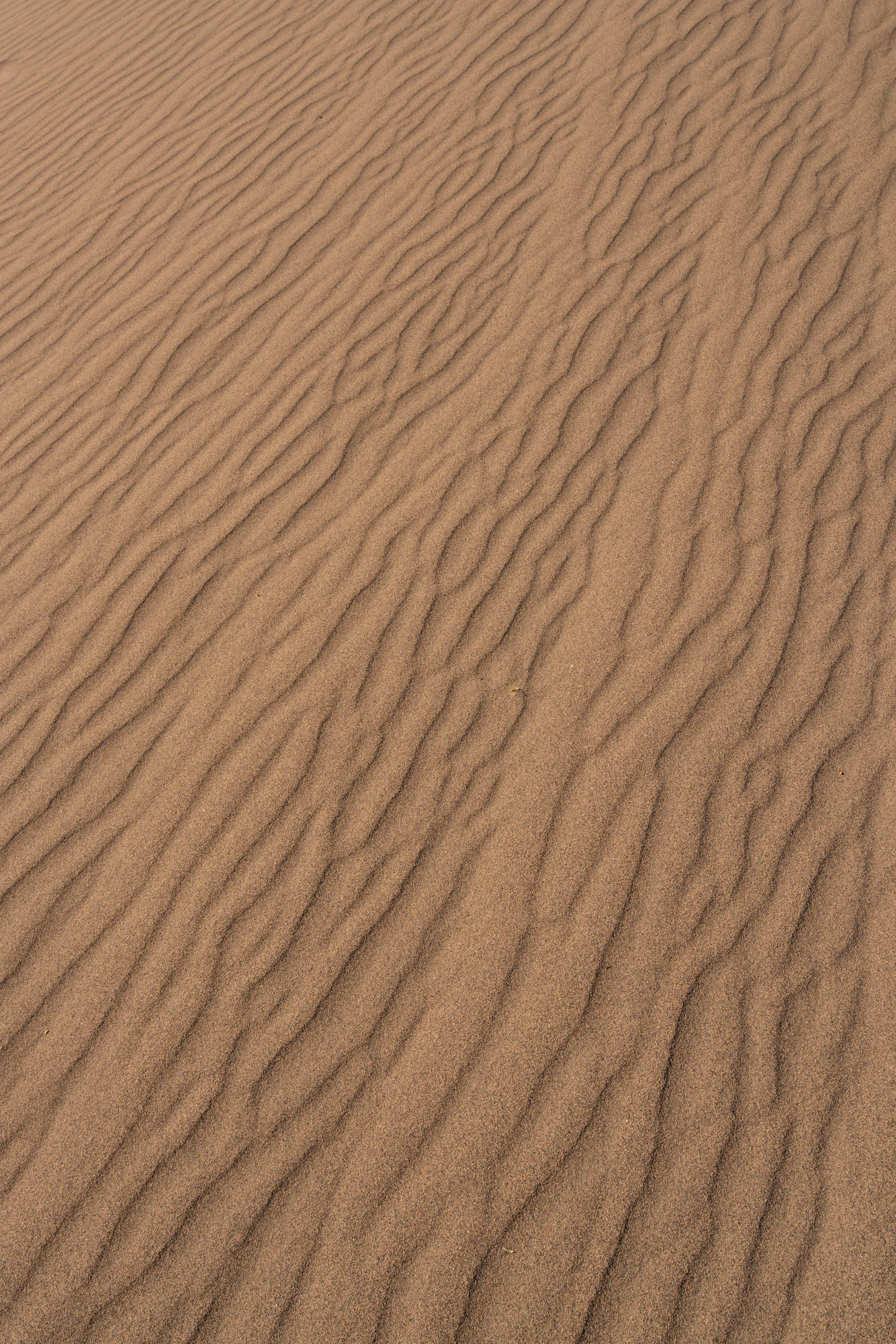 305 — Скачать