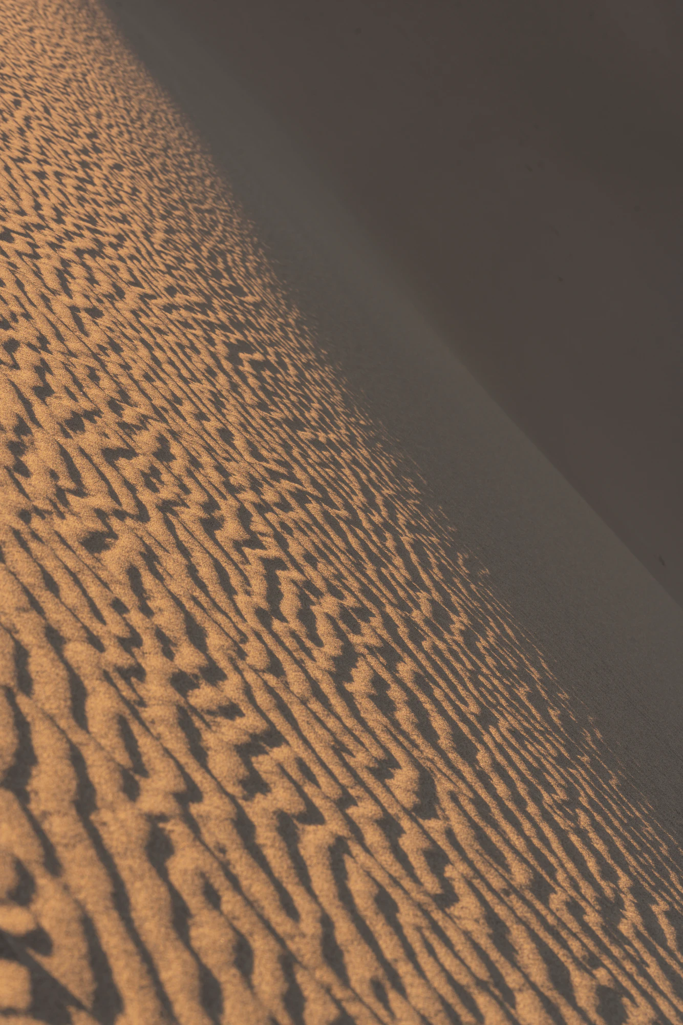 307 — Скачать