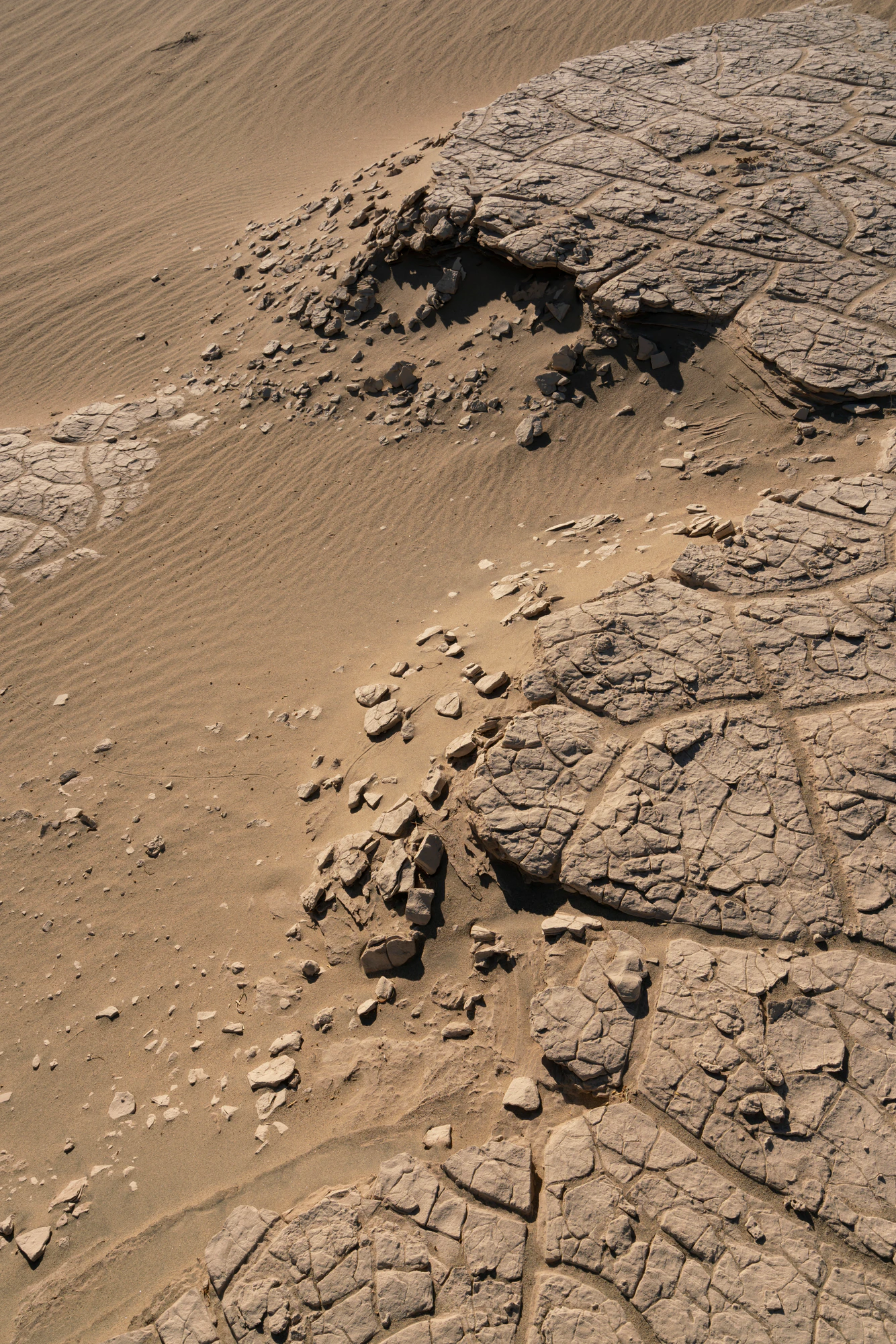 309 — Скачать