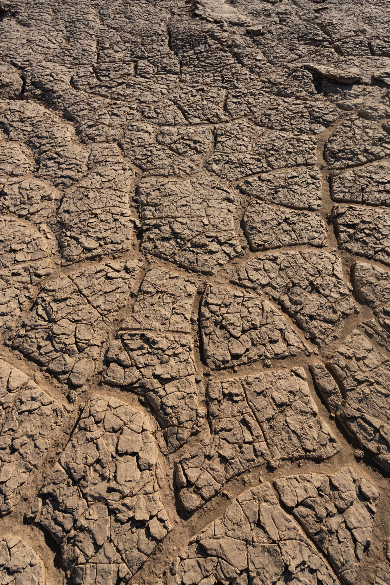 310 — Скачать