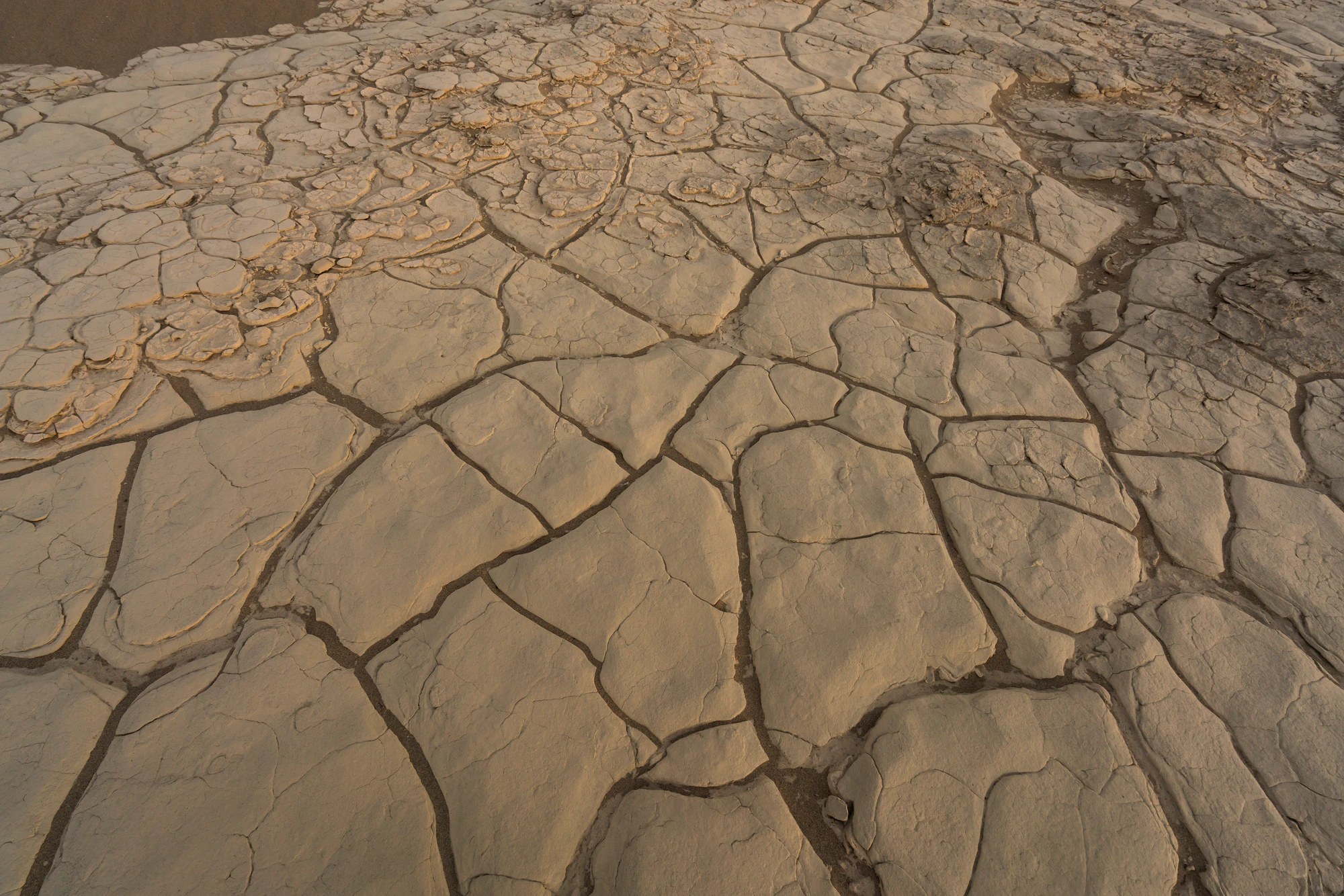 316 — Скачать