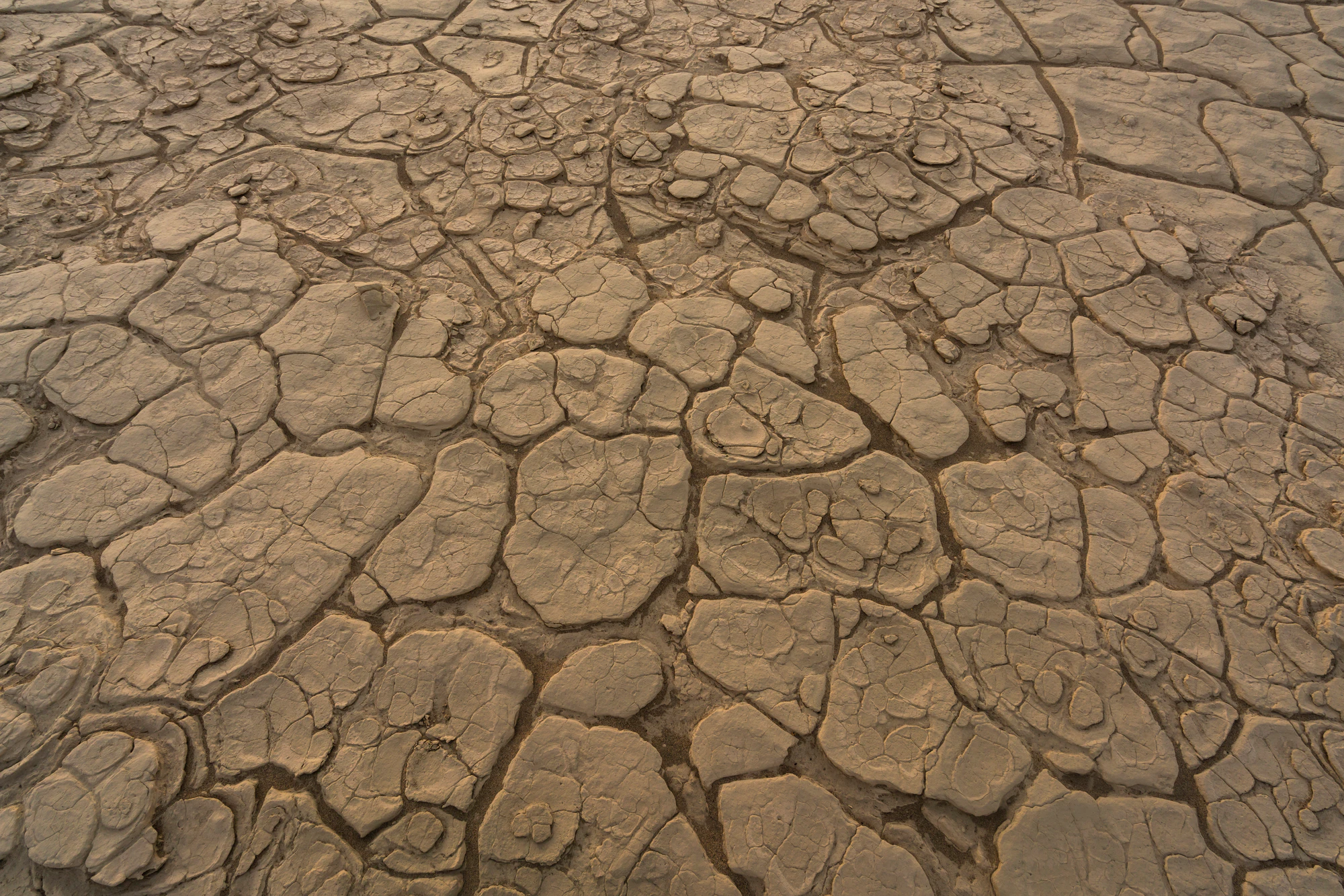 319 — Скачать