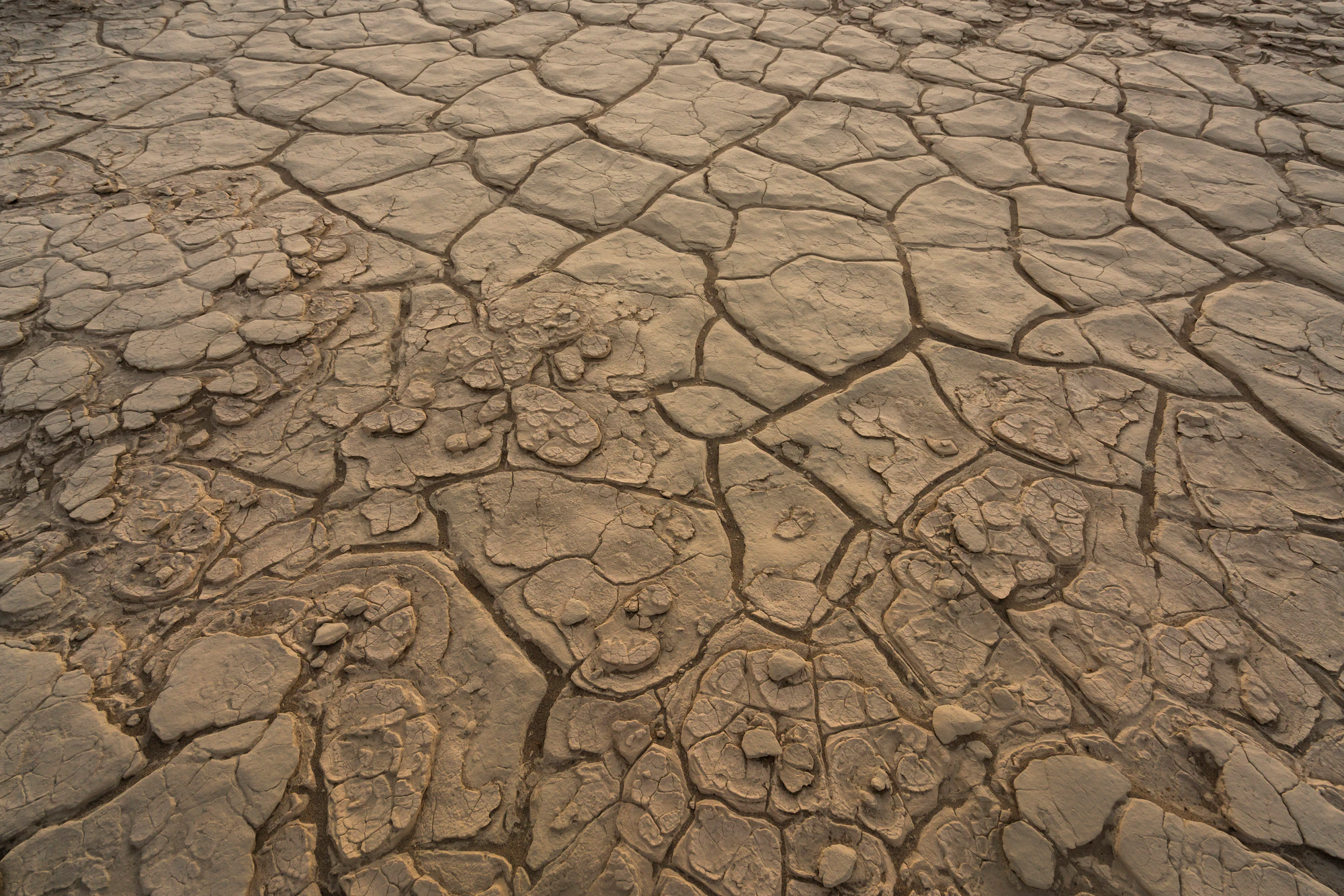 321 — Скачать