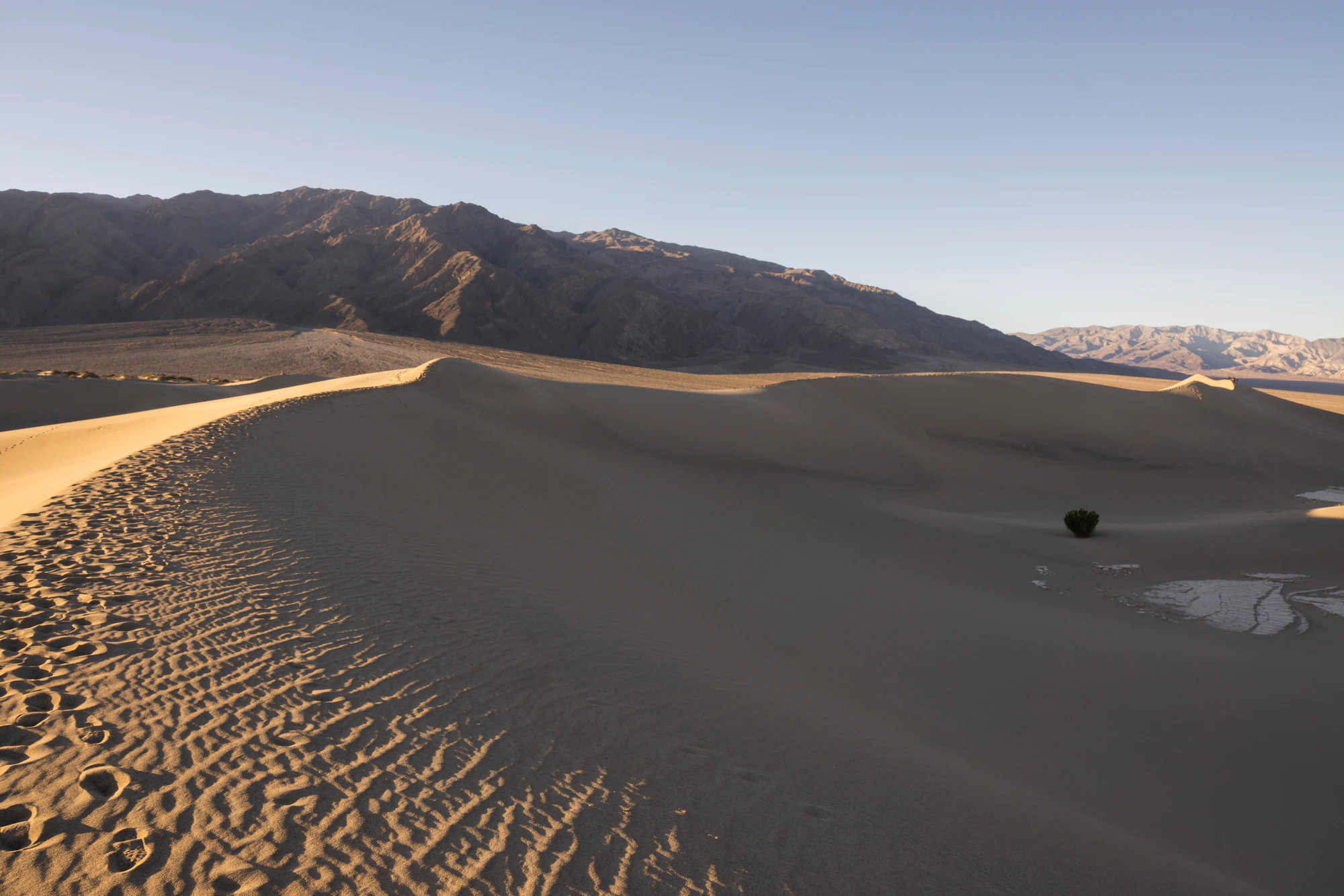 339 — Скачать