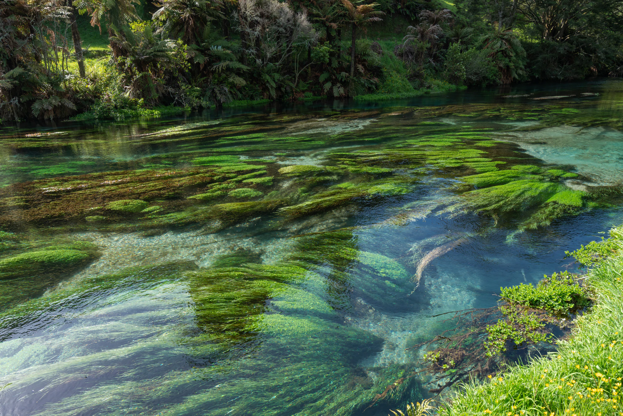 067 — Скачать