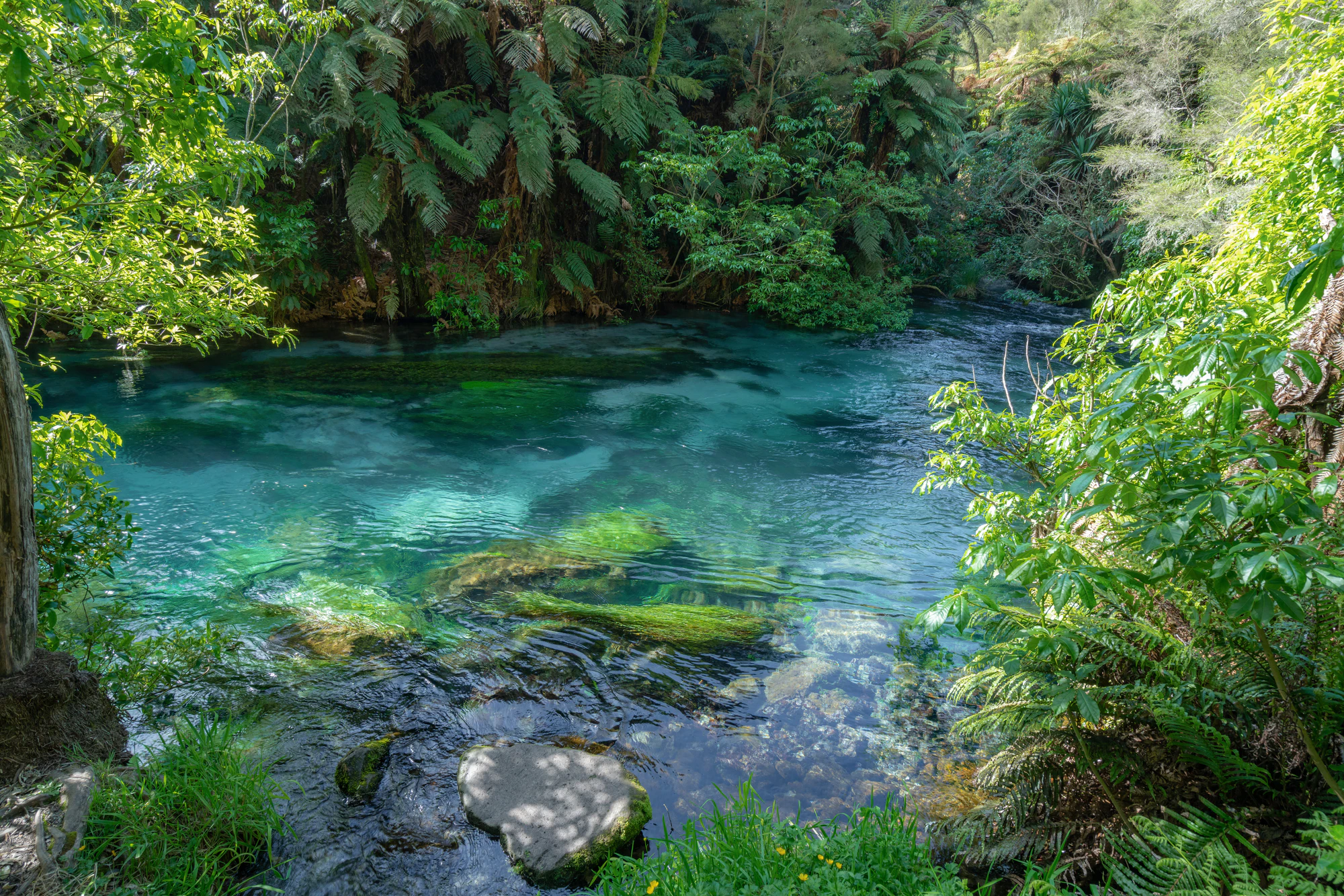 111 — Скачать