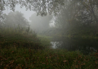 145 — Descargar