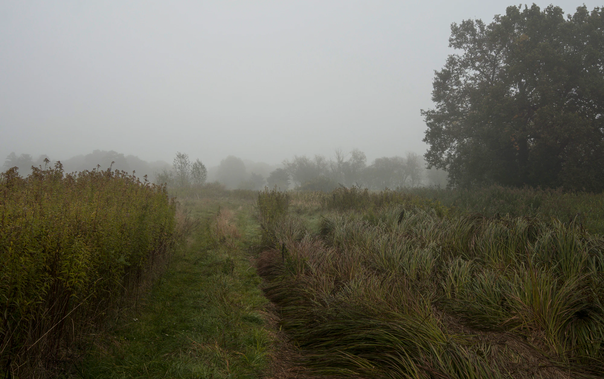 449 — Скачать