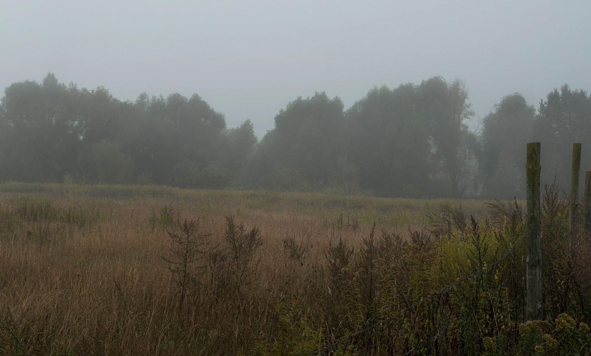 457 — Скачать