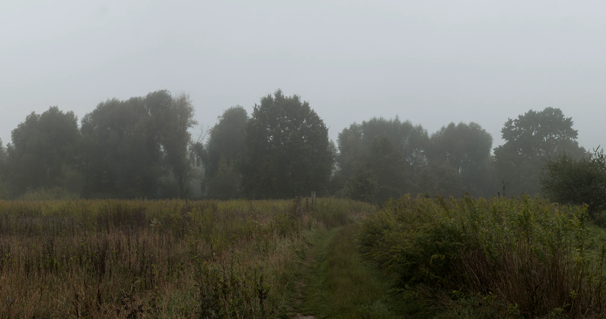 459 — Скачать