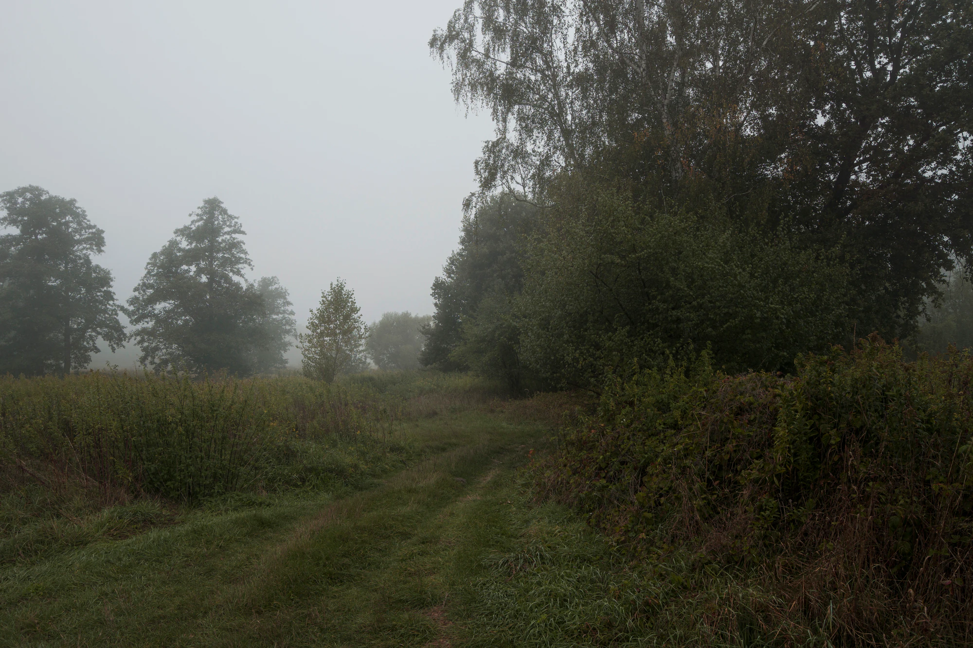 461 — Скачать