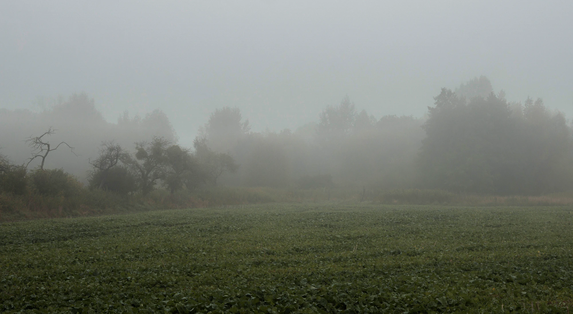 462 — Скачать